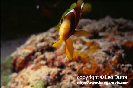 5828_28