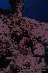 5820_17