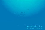 5820_22