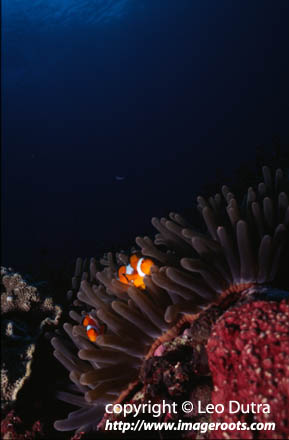 5825_12