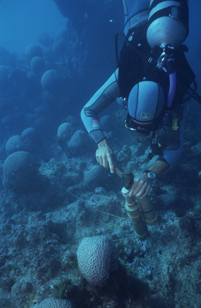 Parcel de Abrolhos/Abrolhos reefs