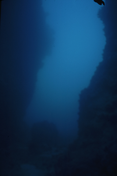 4971_10