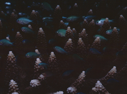 7100_10